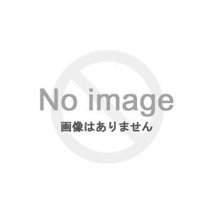 アークザラッド/アークザラッド2 ザ・コンプリート