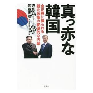 宝島社 真っ赤な韓国／辺真一