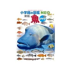 松浦啓一 小学館の図鑑NEO〔新版〕 魚 DVDつき ［BOOK+DVD］ Book